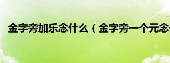 金字旁加乐念什么（金字旁一个元念什么）