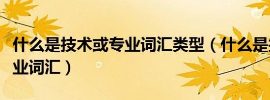 什么是技术或专业词汇类型（什么是技术或专业词汇）