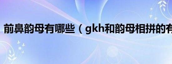 前鼻韵母有哪些（gkh和韵母相拼的有哪些）