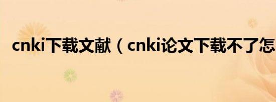 cnki下载文献（cnki论文下载不了怎么办）