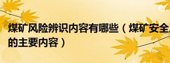 煤矿风险辨识内容有哪些（煤矿安全风险辨识的主要内容）