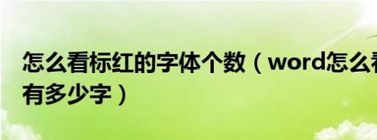 怎么看标红的字体个数（word怎么看标红的有多少字）