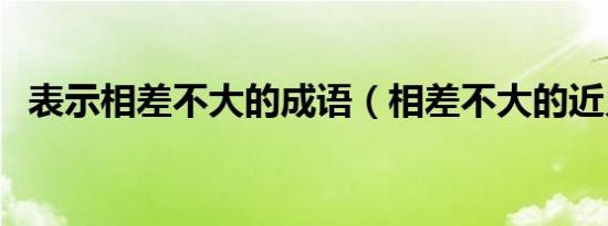 表示相差不大的成语（相差不大的近义词）