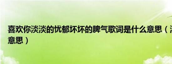 喜欢你淡淡的忧郁坏坏的脾气歌词是什么意思（淡淡的笑的意思）