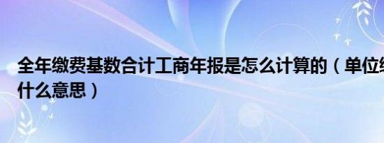 全年缴费基数合计工商年报是怎么计算的（单位缴费合计是什么意思）