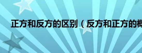 正方和反方的区别（反方和正方的概念）