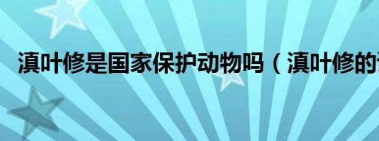 滇叶修是国家保护动物吗（滇叶修的读音）