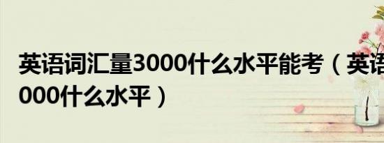 英语词汇量3000什么水平能考（英语词汇量3000什么水平）