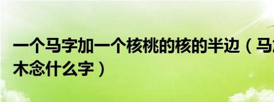 一个马字加一个核桃的核的半边（马加核去掉木念什么字）