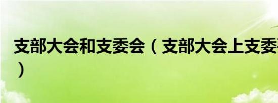 支部大会和支委会（支部大会上支委要发言吗）