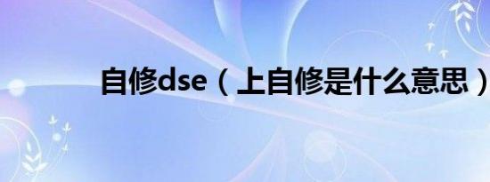 自修dse（上自修是什么意思）