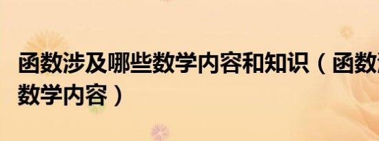 函数涉及哪些数学内容和知识（函数涉及哪些数学内容）