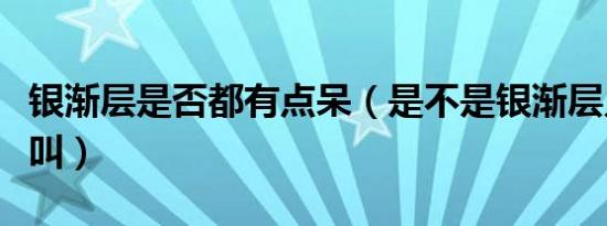 银渐层是否都有点呆（是不是银渐层只会嘤嘤叫）