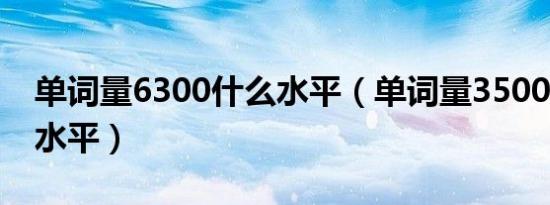 单词量6300什么水平（单词量35000是什么水平）