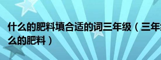 什么的肥料填合适的词三年级（三年级组词什么的肥料）