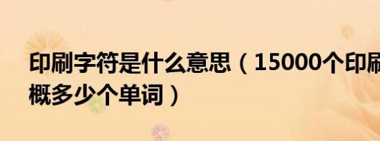 印刷字符是什么意思（15000个印刷字符大概多少个单词）