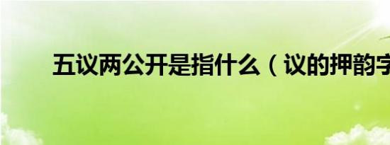 五议两公开是指什么（议的押韵字）