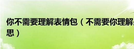 你不需要理解表情包（不需要你理解是什么意思）