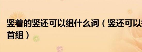 竖着的竖还可以组什么词（竖还可以换什么部首组）