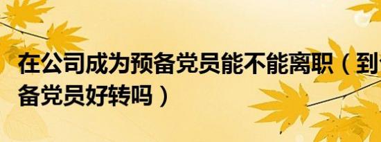 在公司成为预备党员能不能离职（到公司转预备党员好转吗）