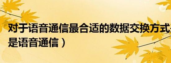 对于语音通信最合适的数据交换方式是（什么是语音通信）