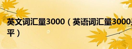 英文词汇量3000（英语词汇量3000是什么水平）