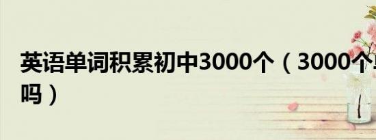 英语单词积累初中3000个（3000个单词够用吗）