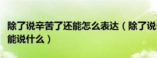 除了说辛苦了还能怎么表达（除了说辛苦了还能说什么）