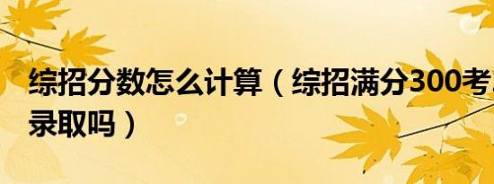 综招分数怎么计算（综招满分300考220能被录取吗）