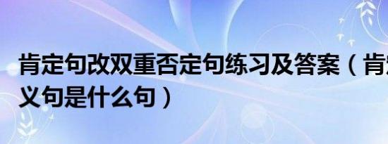 肯定句改双重否定句练习及答案（肯定句的反义句是什么句）