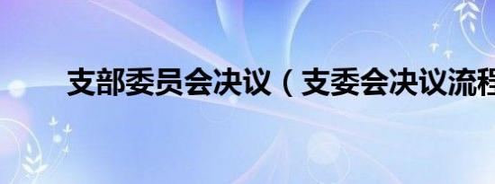 支部委员会决议（支委会决议流程）