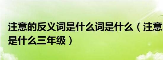 注意的反义词是什么词是什么（注意的反义词是什么三年级）