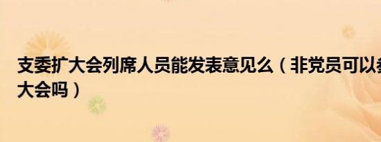 支委扩大会列席人员能发表意见么（非党员可以参加支委扩大会吗）