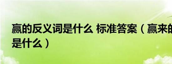 赢的反义词是什么 标准答案（赢来的反义词是什么）