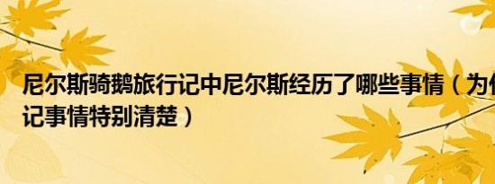 尼尔斯骑鹅旅行记中尼尔斯经历了哪些事情（为什么有些人记事情特别清楚）