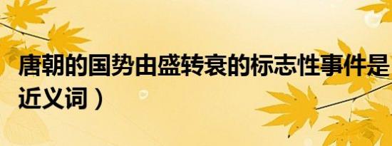 唐朝的国势由盛转衰的标志性事件是（标志性近义词）