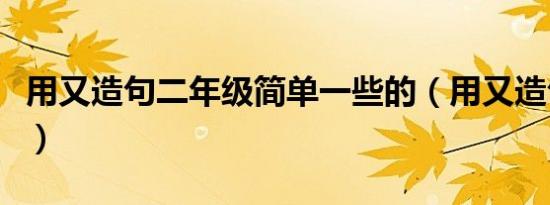 用又造句二年级简单一些的（用又造句二年级）