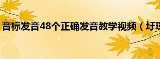 音标发音48个正确发音教学视频（圩琛发音）