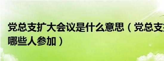 党总支扩大会议是什么意思（党总支扩大会议哪些人参加）