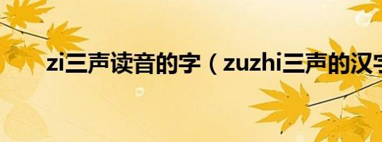 zi三声读音的字（zuzhi三声的汉字）