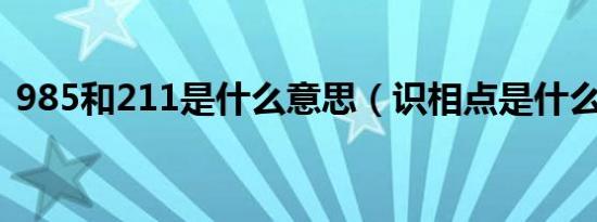 985和211是什么意思（识相点是什么意思）