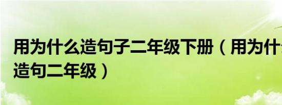 用为什么造句子二年级下册（用为什么怎么谁造句二年级）