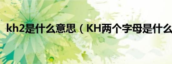 kh2是什么意思（KH两个字母是什么意思）