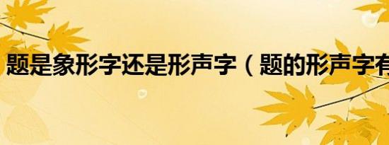 题是象形字还是形声字（题的形声字有哪些）