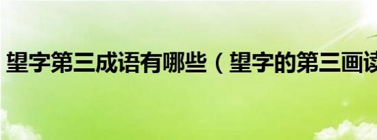 望字第三成语有哪些（望字的第三画读什么）