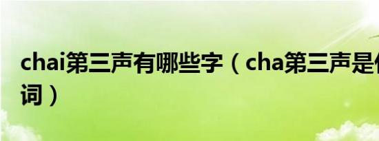 chai第三声有哪些字（cha第三声是什么字组词）