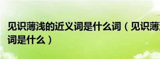 见识薄浅的近义词是什么词（见识薄浅的近义词是什么）