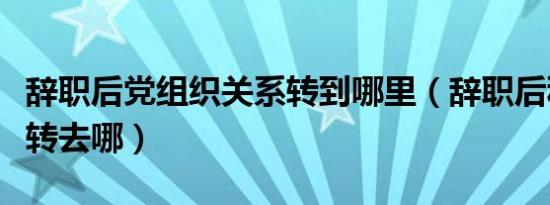 辞职后党组织关系转到哪里（辞职后积极分子转去哪）