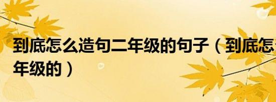 到底怎么造句二年级的句子（到底怎么造句二年级的）