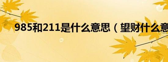 985和211是什么意思（望财什么意思）